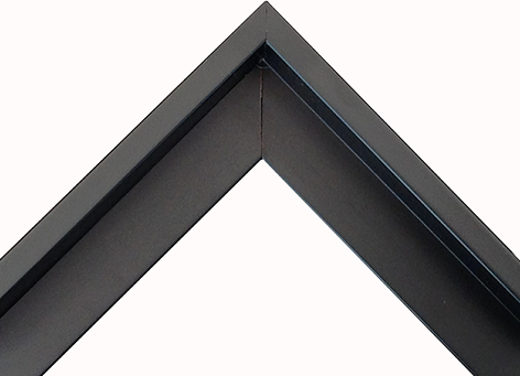 Frame - Painting: Black Museum Quality Float Frame